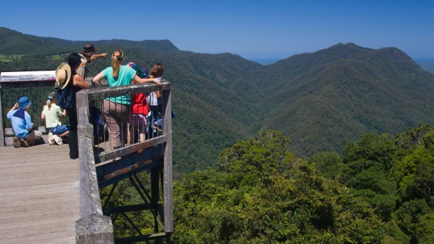 Park ranger points out aspects of Dorrigo National Park from the elevated Skyway at the Rainforest Centre.