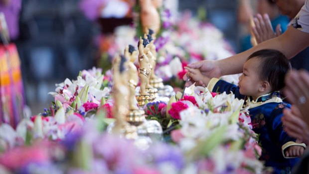 Thousands are expected to attend the Buddhist festival.