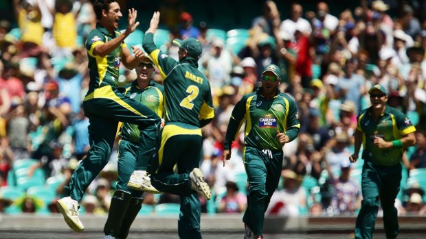 Jump for joy: Mitchell Starc celebrates a first ball wicket