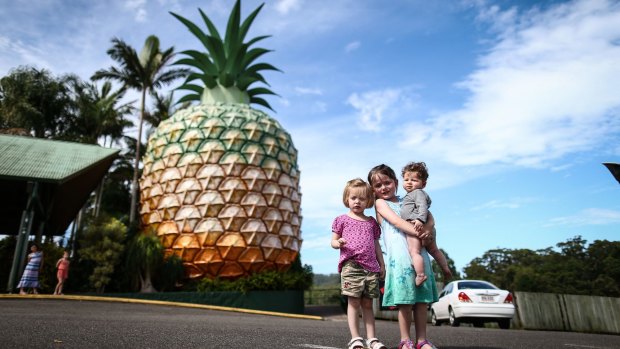 New plans are emerging for the Big Pineapple in Woombye near Nambour.