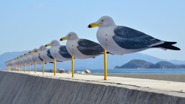 The "Sea Gulls' Parking Lot", by Takahito Kimura, at Megijima island in Kagawa prefecture, Japan's southern island of Shikoku.