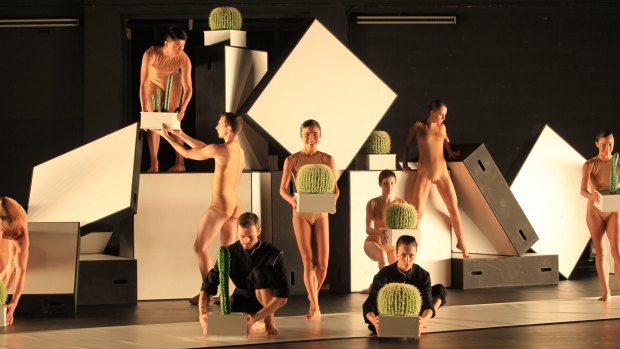 A preview of 'Cacti' by Swedish choreographer Alexander Ekman for Sydney Dance Company's upcoming season of 'De Novo' at Sydney Theatre at Walsh Bay, Sydney. 28th February 2013. Photo by Tamara Dean