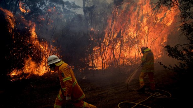 Bushfires were the most commonly occurring type of disaster event in the study.