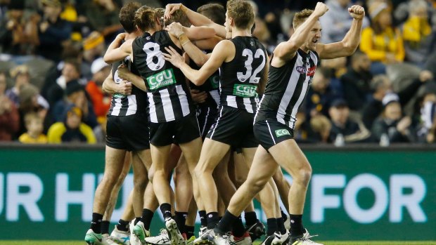 Stoked: Collingwood players after the final siren at Etihad Stadium on Sunday.