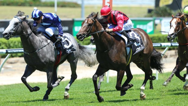 Blinkers advantage: Joe Pride is confident Tactical Advantage can measure up to the Starlight Stakes.
