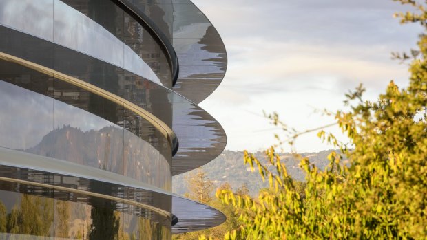 Everyone in the new Apple Park campus will get the same view of the trees but not their own desk.