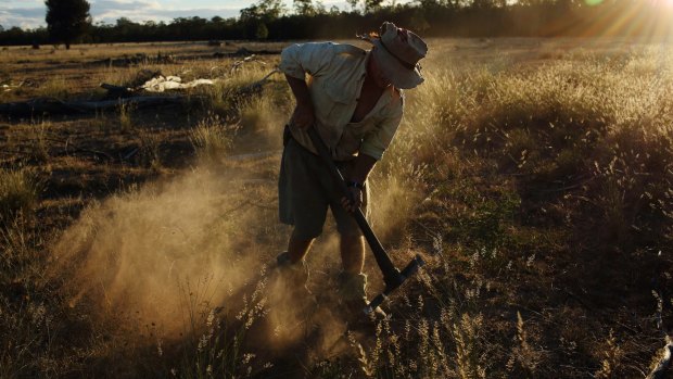 A farmer works the land around Queensland's Western Downs region. 