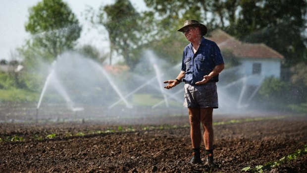 Farmer Steve Osborn cooling off at his pumpkin farm in Maitland, NSW.