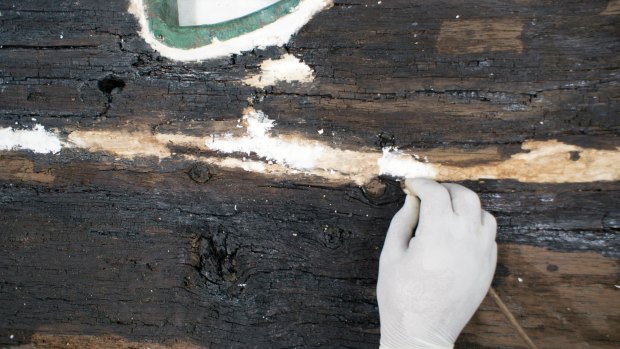 A restoration expert treats a giant piece of wood believed to have been from one of King Khufu's boats.