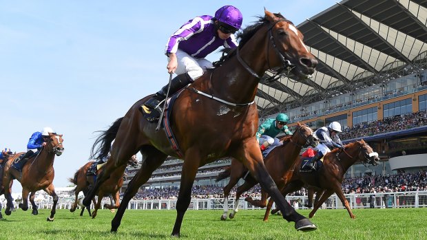 Highland Reel wins the Prince of Wales' Stakes earlier in the carnival at Royal Ascot.