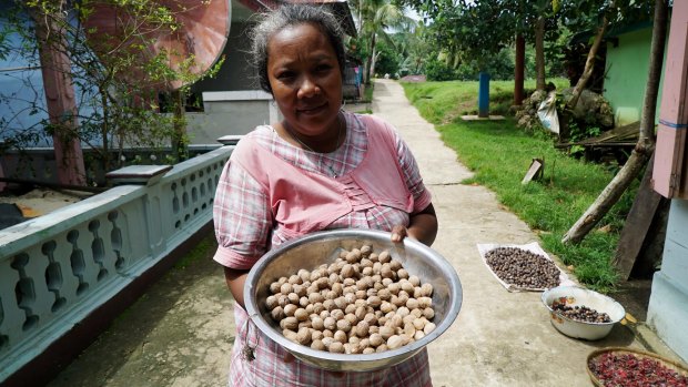 Dried nutmeg in Run. Most islanders still farm nutmeg and cloves as well as fish for tuna.