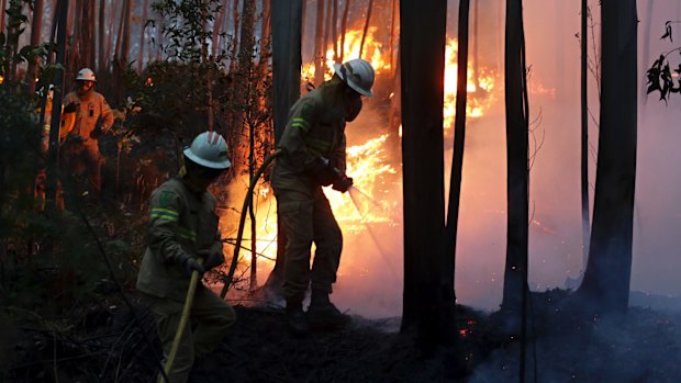 Firefighters of the Portuguese National Republican Guard work to stop a forest fire from reaching the village of Avelar, central Portugal.