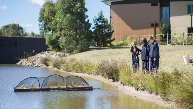 Potential fix: Caroline Chisholm High School students Josephine Gulian, Brodie Regester-Young and Matthew Torrens look at the new floating wetland at Goodwin Village in Monash.