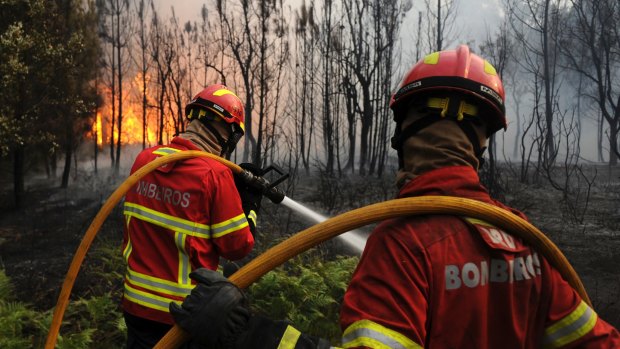 Bombeiros fight to stop the forest fire from reaching the village of Figueiro dos Vinhos. The wildfires claimed 64 lives.