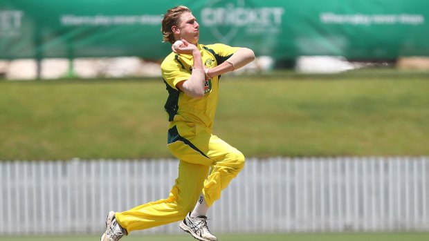 Wanted man: Will Sutherland has chosen cricket.