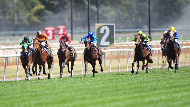 Jockey Richard Bensley, second from left,  rides Mixed Blossom to victory in the Inglis Bonus Lightning Ridge 2YO Plate at Thoroughbred Park in Canberra on Sunday.
