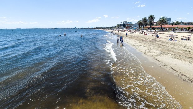 There have been reports of a shark sighting at St Kilda beach.