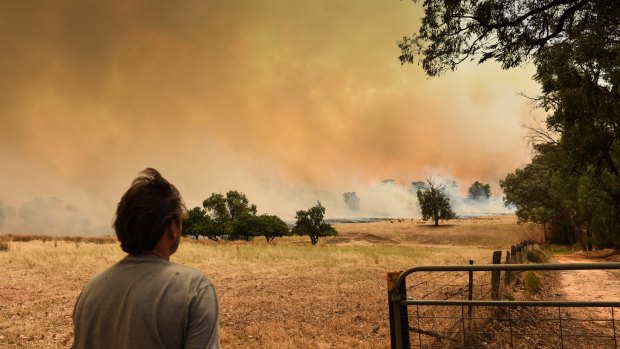 A bush fire near Wodonga, on the NSW border, threatens homes.