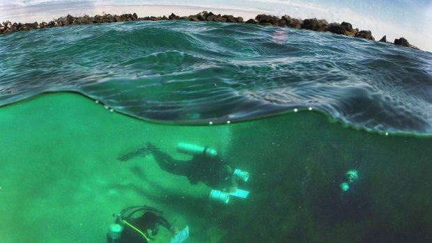 Marine scientists conduct a survey of Port Phillip Heads Marine National Park.