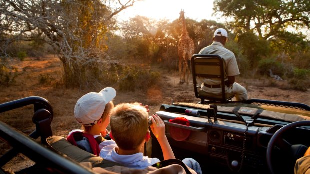Seeing a giraffe from a safari land cruiser in the Phinda Game Reserve.