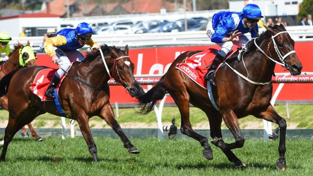 Champion mare: Hugh Bowman isn't feeling any nerves ahead of the Cox Plate because Winx "gives me confidence".