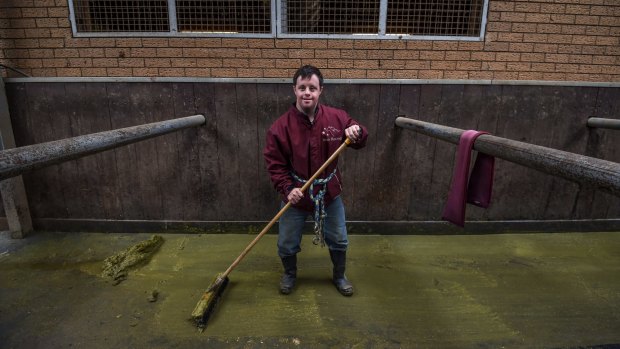 Strapper Stevie Payne poses for a picture while cleaning out the stables.