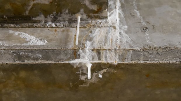 Stalactites growing in a basement of an apartment complex in Melbourne.