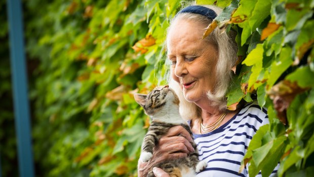 Virginia Edwards, of Brighton, receives the AM in the 2016 Australia Day Honours for her 50 years of voluntary work for Lort Smith Animal Hospital in North Melbourne. She is  pictured in the hospital forecourt in North Melbourne with a kitten up for adoption, Missy.