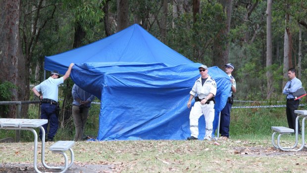 Police put up a marquee at Bangalay Reserve in Windale in November 2014, after Renee Mitchell's body was found.