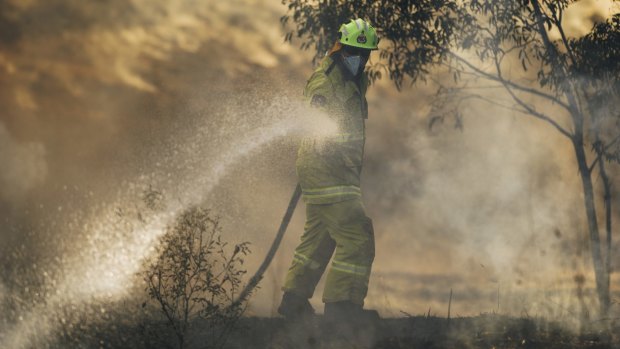 A number of fires in Canberra have been treated as suspicious this week. 