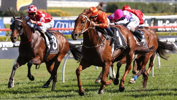 He's back: Terravista (No.1) and Hugh Bowman steam to victory in the group 2 Premiere Stakes at Randwick on Saturday.