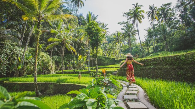 Tourism is slowly returning to Australia's holiday playground, Bali.