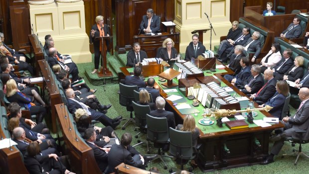 Rosie Batty addressing a joint sitting of the Victorian Parliament on Thursday. 