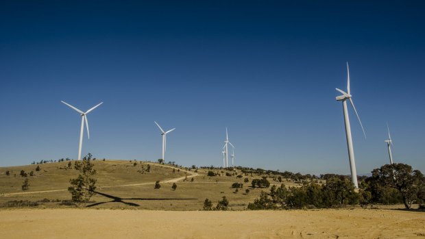 The Capital Wind Farm near Canberra.