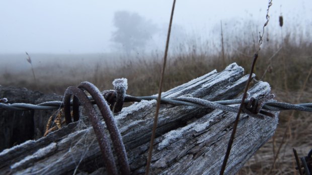 Fog and frost in the Lithgow region as temperatures dropped below 0 degrees. 

