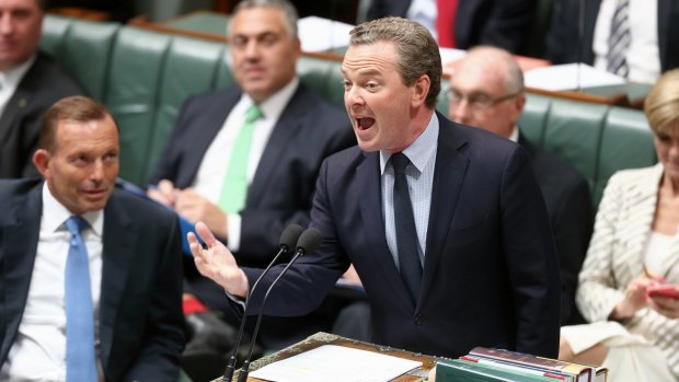 Christopher Pyne during question time on Tuesday.