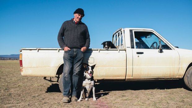 Bill Chalmers waits with his three-legged dog Tom during the Bungendore sheepdog trials on Sunday.