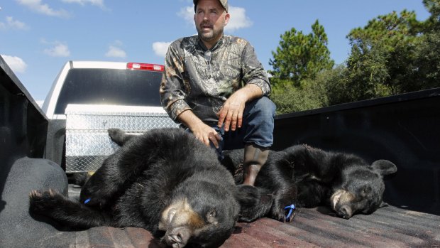 Richard Sajko, of Valrico, Florida, explains how he killed one of the two bears on the back of his pick-up truck at the Rock Springs Run Wildlife Management Area near Lake Mary on Saturday.
