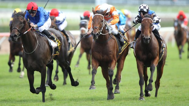 Raider wins: Corey Brown rides Polarisation to victory in the Sydney Cup.
