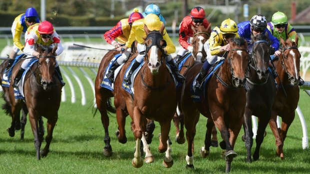 Last-to-first win: Vlad Duric (all yellow, centre) rides Anaphora to a win at Caulfield on Saturday.