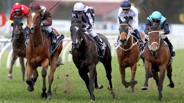 Too strong: Country jockey Greg Ryan steered Alart to victory at Rosehill to claim his second black-type win. 