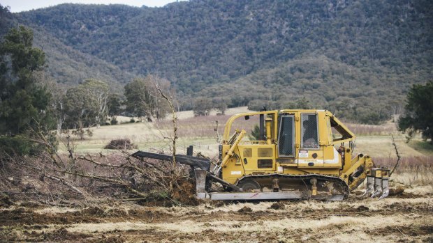 The orchard peach trees are being bulldozed, because the orchards cannot be sold as a going concern. 


