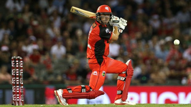 Cameron White will make a temporary return for the Renegades.