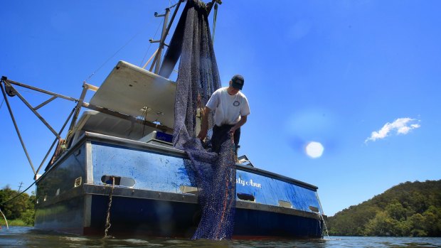 Gary Howard trawls for school prawns using  inshore trawl and static nets.
