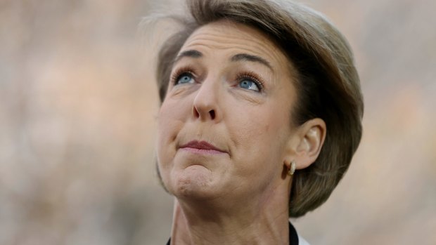Employment Minister Michaelia Cash said she first learnt of the allegations against Mr Hadgkiss in October but proceeded with his appointment.
