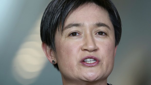 Labor frontbencher Penny Wong has two young daughters with her partner Sophie Allouache.