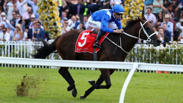 The star: Winx continues to enjoy a stellar run of form.