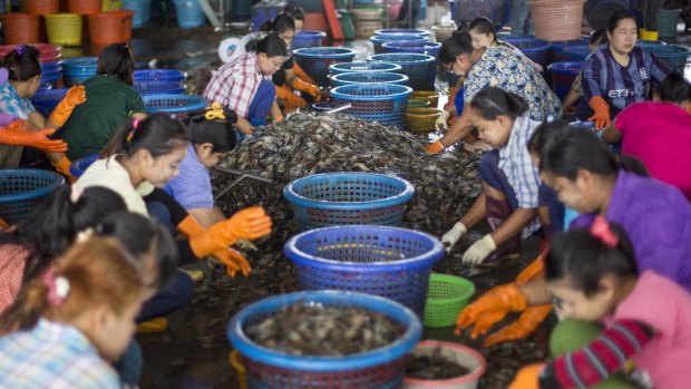 Female workers sort shrimp at a seafood market in Mahachai, Thailand.