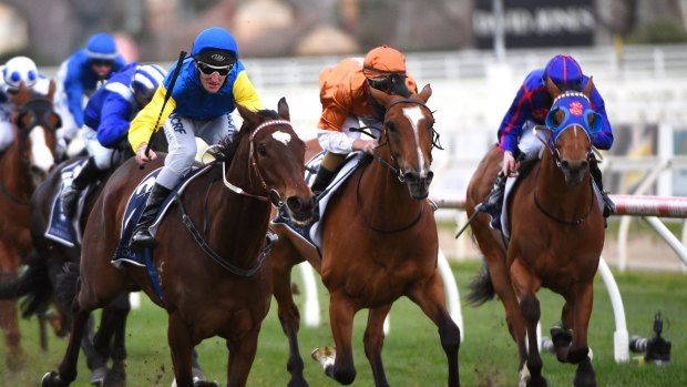 Form at the track and distance: Brad Rawiller and Black Heart Bart (left) take out the Memsie Stakes in August.