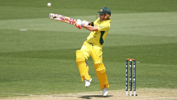 Taking flight: David Warner found the ropes with ease against India in Adelaide.